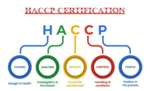 بهداشت HACCP